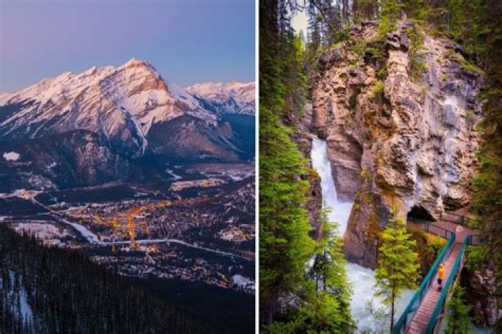 Can you live in Calgary without a car?