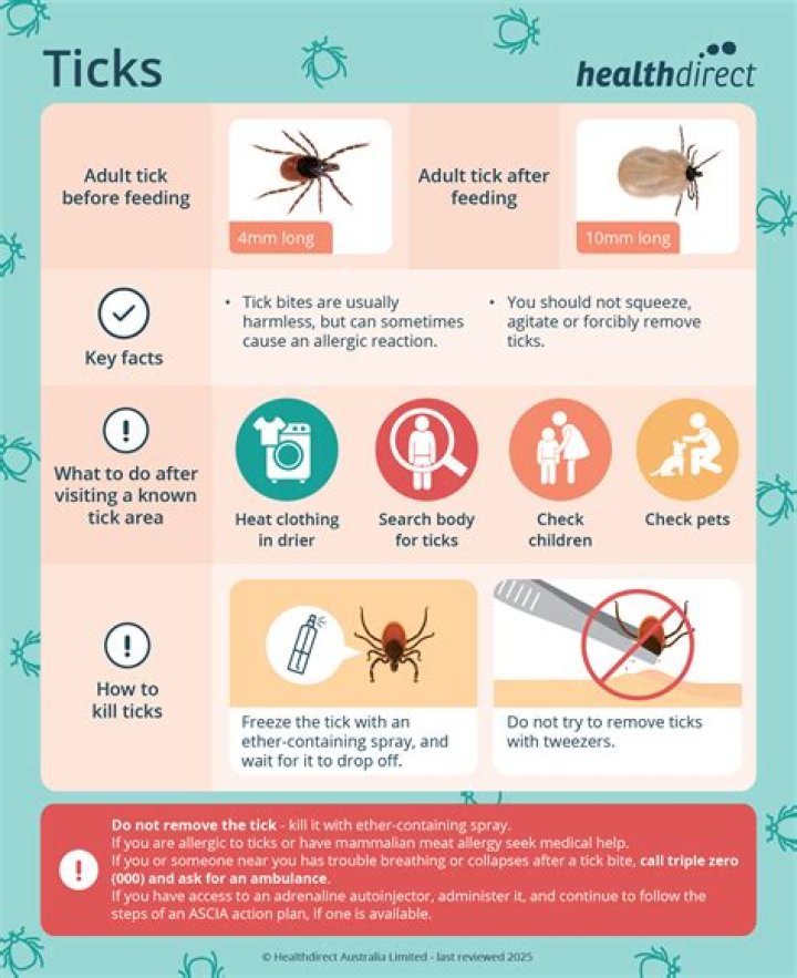 Do tick bites cause scabs?