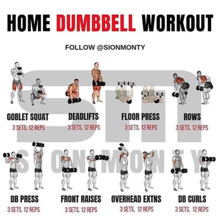 How can I build muscle with dumbbells?