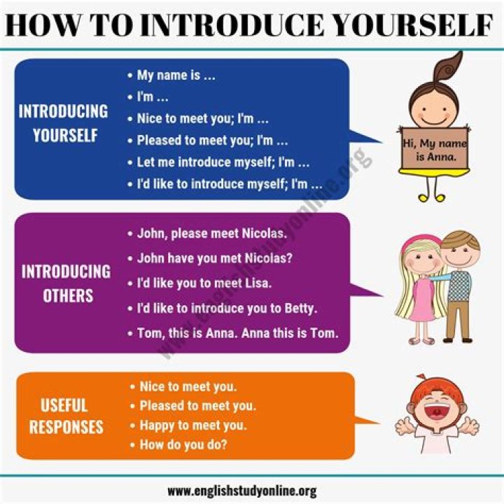 How do you introduce a Sim to everyone?