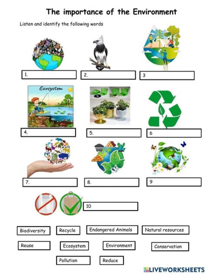 How do you use environment in a sentence?