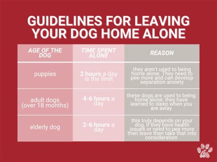 How long can you leave a dog alone in the house?