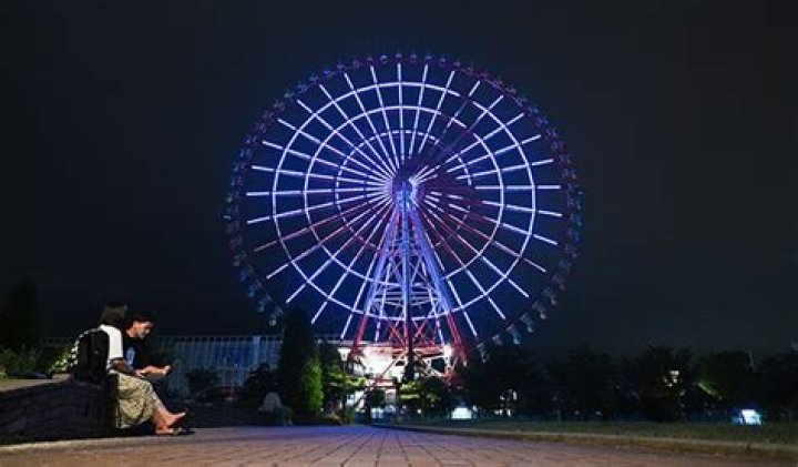 How tall is the Ferris wheel in Tokyo?