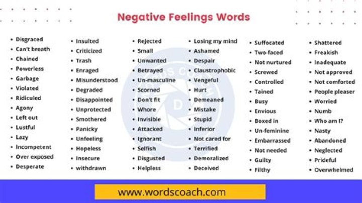 Is timid a negative word?