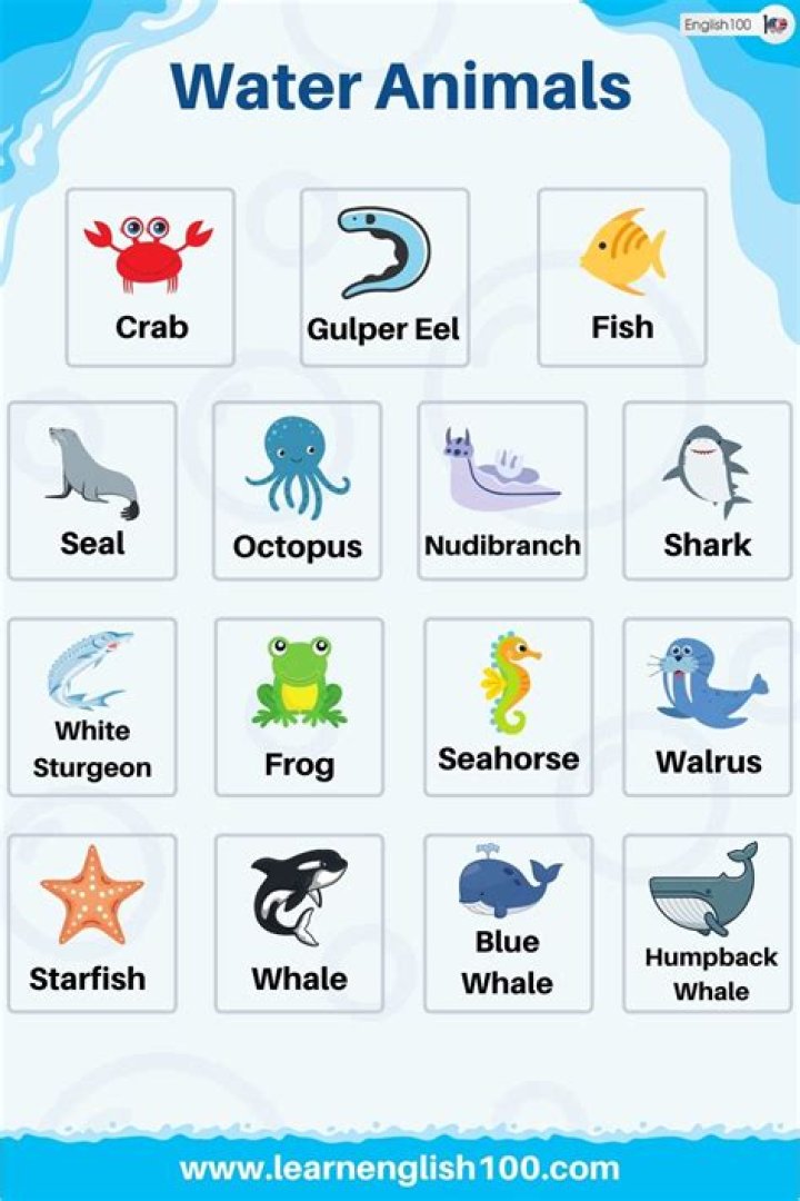 What are water animals for Class 1?