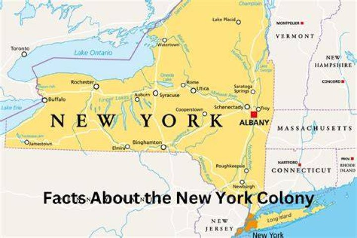 What county is Colonie NY in?