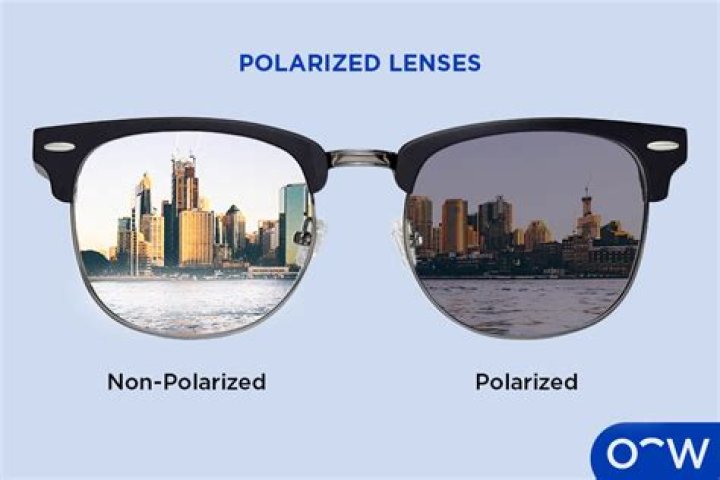 What does a polarized lens do?