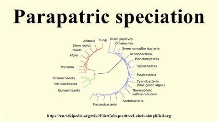 What is Parapatric in biology?