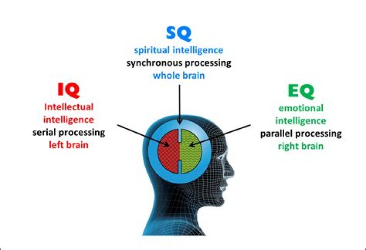 What is SQ and EQ?