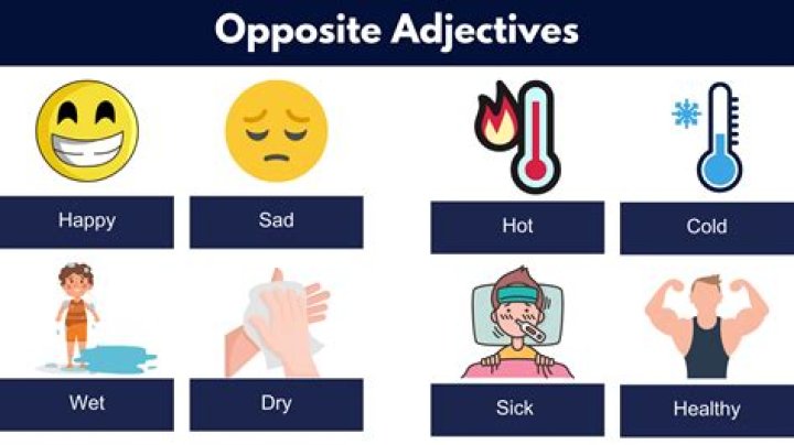 What is the adjective of infect?
