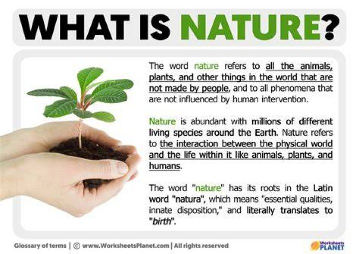 What is the nature of Italy?