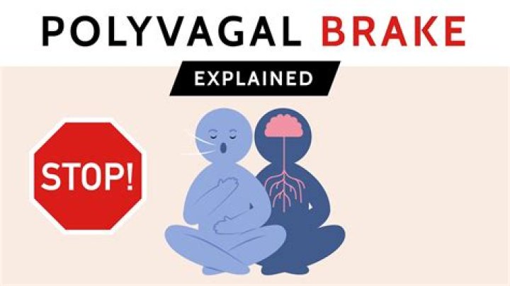 What is the vagal brake?