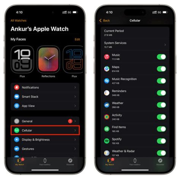 What music apps work on Apple Watch Cellular?