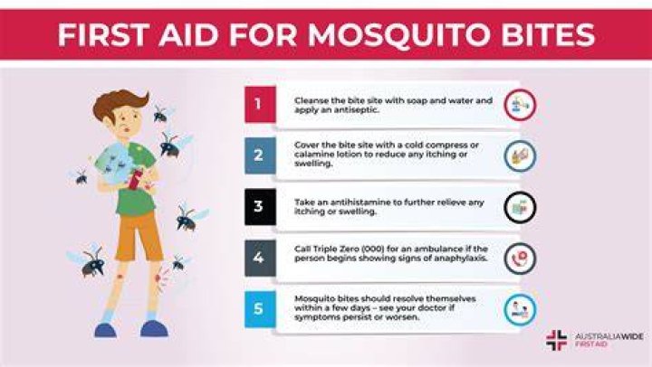 What should be done to get relief from bee stings Class 7?
