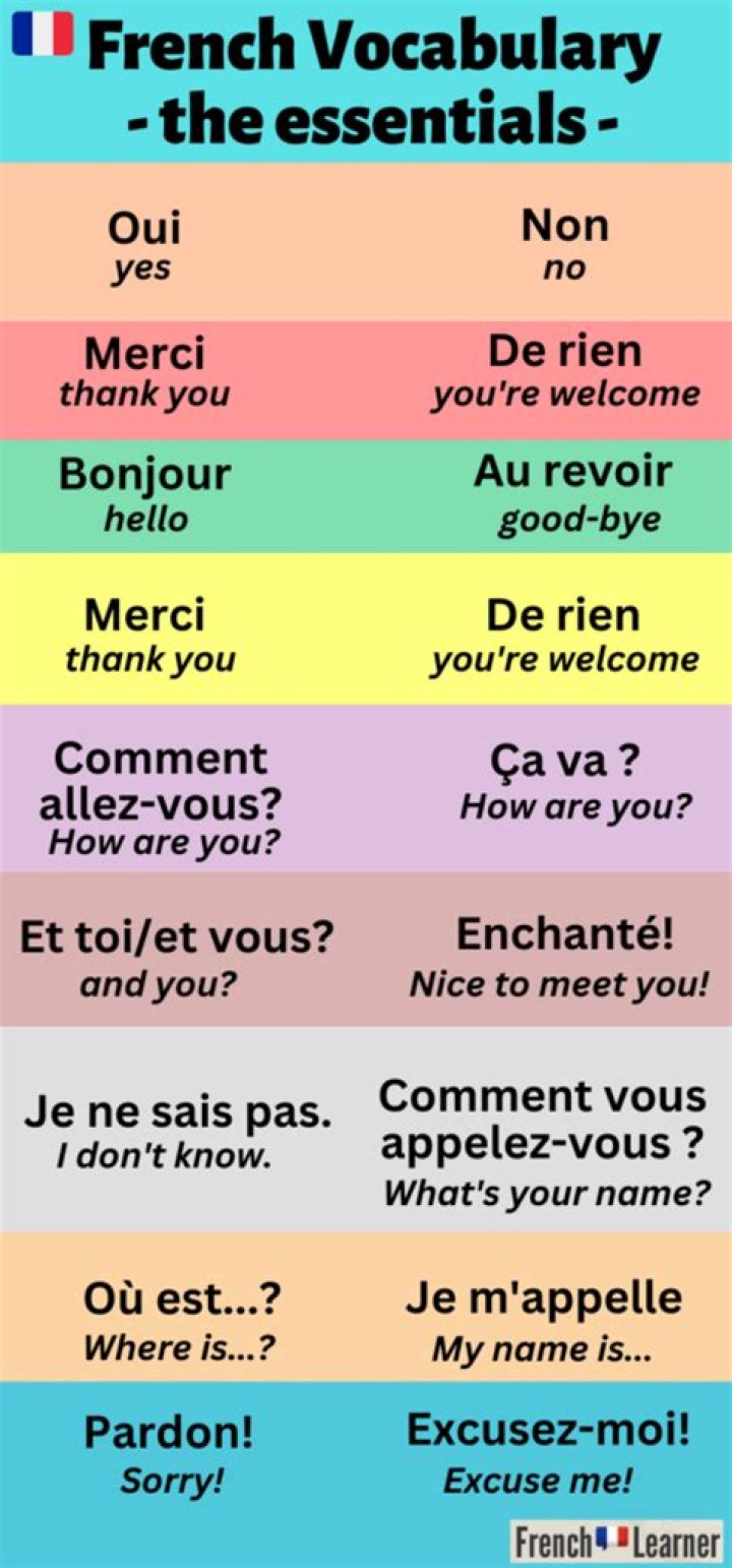 Where can I learn French vocabulary?
