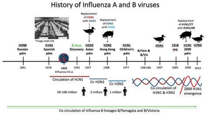 Where was the flu first discovered?