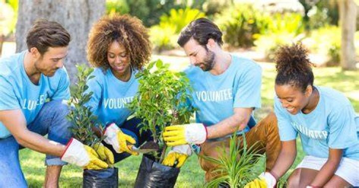 Why do you want to volunteer with WWF?