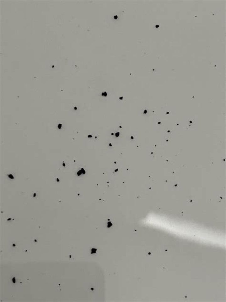 Why is there black stuff coming out of my hot water?